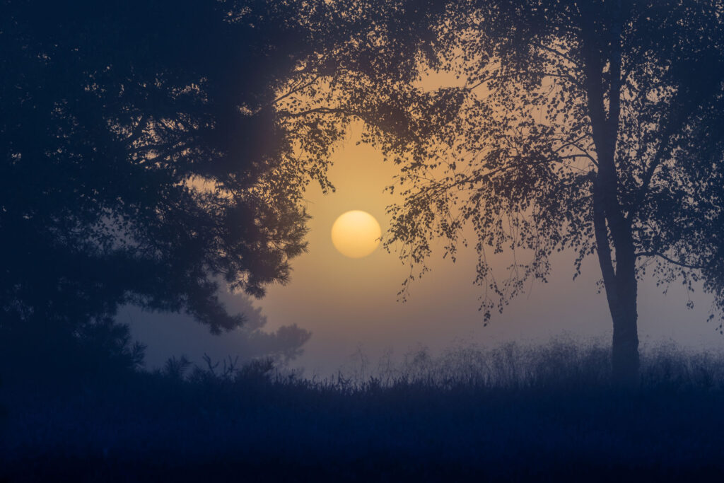 Sonnenaufgang in der Westruper Heide